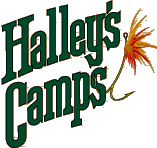 Halley's Camps, Lodges and Outposts